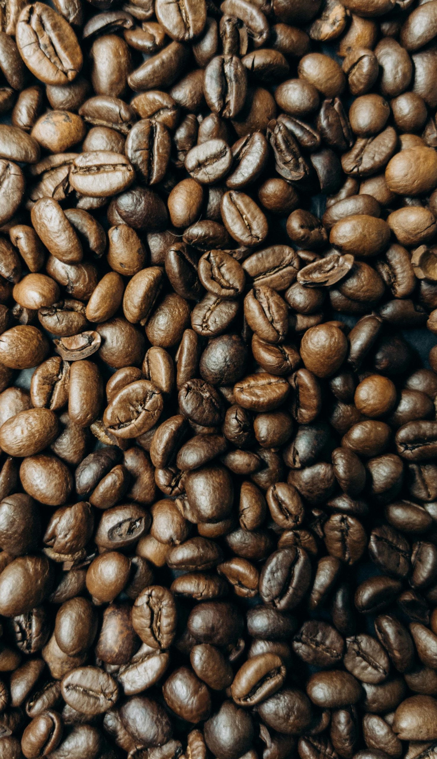 Coffee mobil auf Melaten